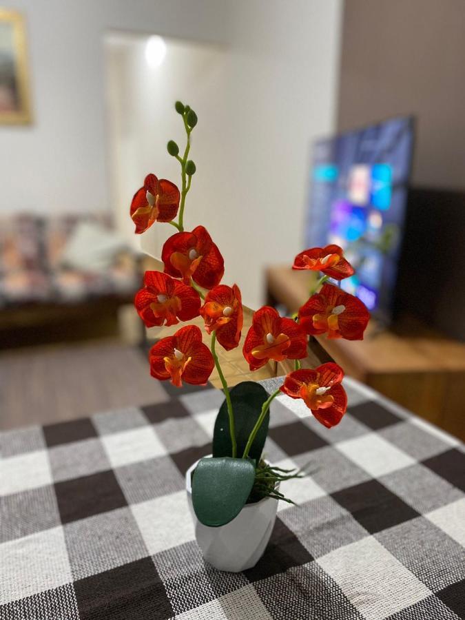 Casa Aconchegante A 400M Da Praia Da Tartaruga - Ar Condicionado - Wifi 450Mb - Netflix - Cozinha Completa - Garagem Rio das Ostras Luaran gambar